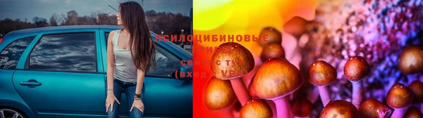 шишки Абдулино