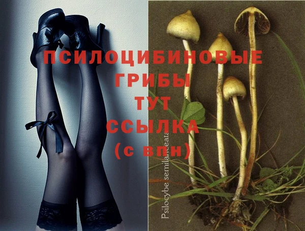 шишки Абдулино