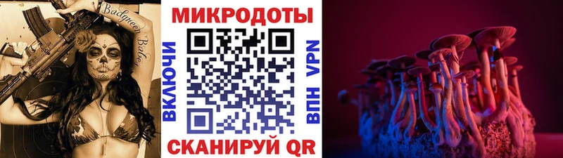 Галлюциногенные грибы Cubensis Балаково