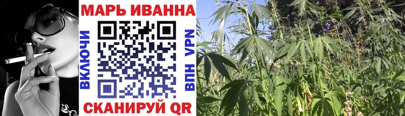 Бошки Шишки планчик  Балаково 